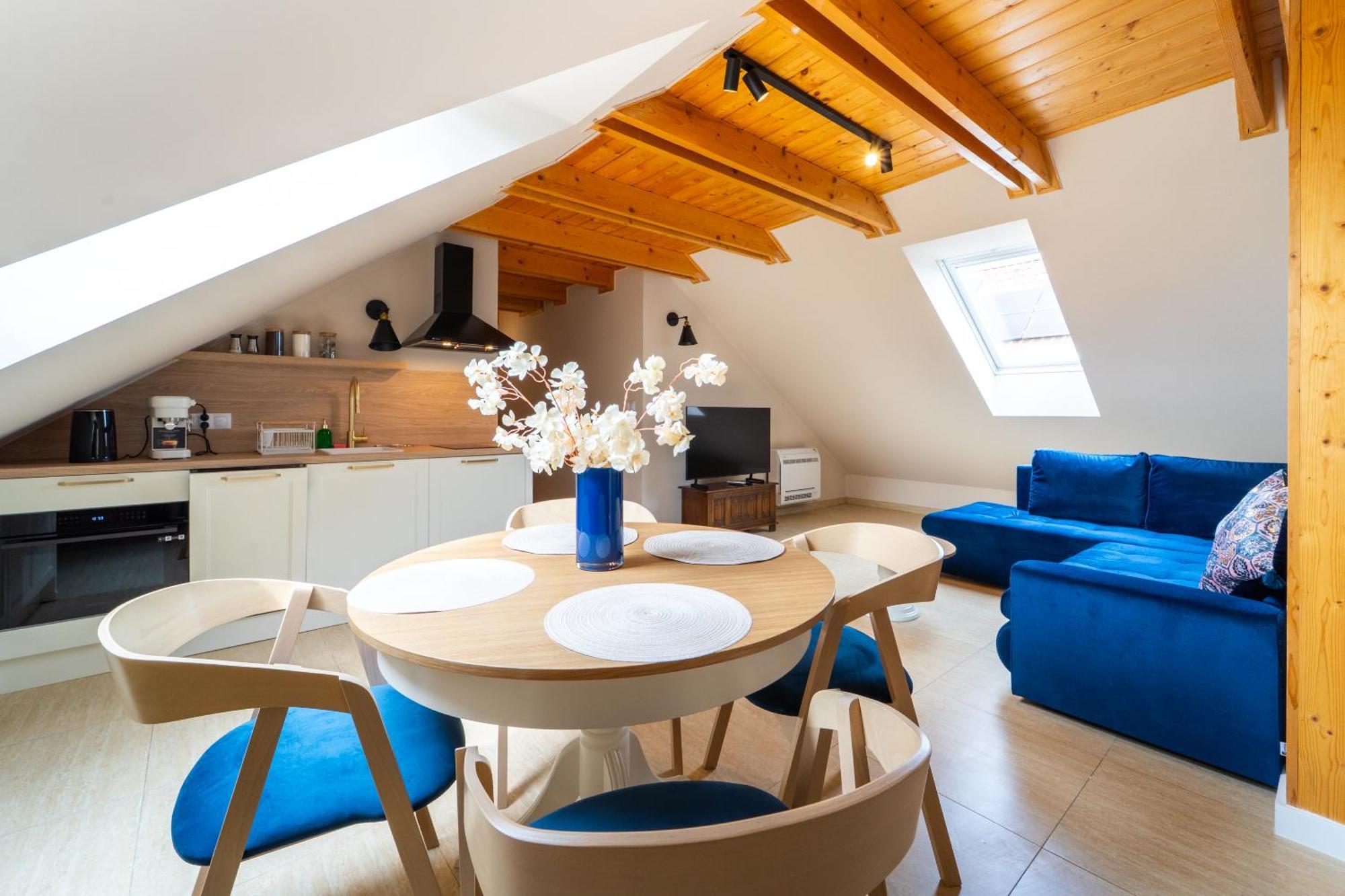 Galeria Trunków Apartamento